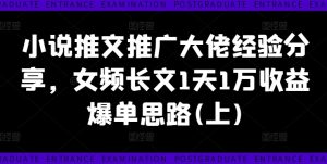 小说推文推广大佬经验分享，女频长文1天1万收益爆单思路(上)-比钱轻创