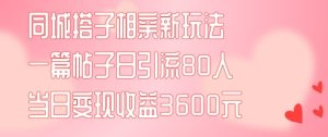 同城搭子相亲新玩法一篇帖子引流80人当日变现3600元(项目教程+实操教程)【揭秘】-比钱轻创