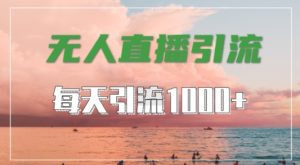 抖音快手视频号全平台通用，无人直播引流法，超暴力引流1000+高质量精准创业粉【揭秘】-比钱轻创