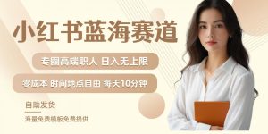 小红书蓝海赛道,圈中高端职场人,月入无上限,可矩阵,内含私域实操教程!-比钱轻创