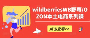 wildberriesWB野莓/OZON本土电商系列课，掌握WB产品优化，出单技巧和订单处理等-比钱轻创