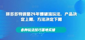 拼多多特训营24年爆破流玩法，产品决定上限，方法决定下限，各种玩法技巧落地实操-比钱轻创