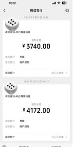 手机搬砖项目,可以矩阵化操作,新手一个月轻松5000多-比钱轻创