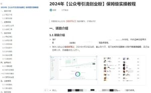 公众号引流创业粉，学会这个方法，你也能月入30000+ (陪跑项目)-比钱轻创