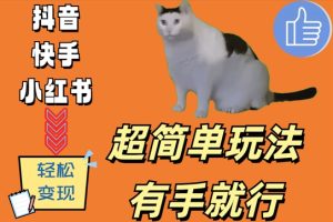 超简单玩法,有手就行,靠猫咪视频日入500+【揭秘】-比钱轻创