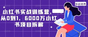 小红书实战训练营，从0到1，6000万小红书项目拆解-比钱轻创