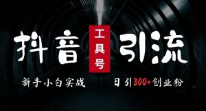 2024最新抖音工具号引流玩法，高效日引300+创业粉，当天变现5k，小白也可成为实战高手-比钱轻创