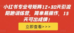 小红书专业号矩阵12+30天引流陪跑训练营，简单易操作，15天可出成绩!-比钱轻创