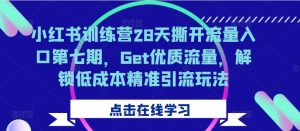小红书训练营28天撕开流量入口第七期，Get优质流量，解锁低成本精准引流玩法-比钱轻创