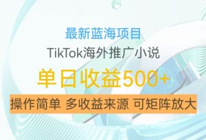 最新蓝海项目,利用tiktok海外推广小说赚钱佣金,简单易学,日入500+,可矩阵放大【揭秘】-比钱轻创