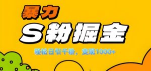 单人单机日引千粉，变现1k+，S粉流量掘金计划攻略【揭秘】-比钱轻创