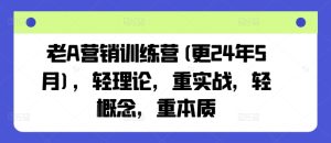 老A营销训练营(更24年10月)，轻理论，重实战，轻概念，重本质-比钱轻创