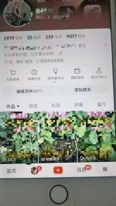 最新抖音暴力起万粉技术，一天涨万粉，发三四个作品涨近万粉-比钱轻创