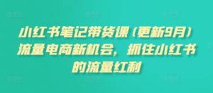 小红书笔记带货课(更新11月)流量电商新机会,抓住小红书的流量红利-比钱轻创