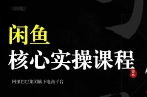 2024闲鱼核心实操课程，从养号、选品、发布、销售，教你做一个出单的闲鱼号-比钱轻创