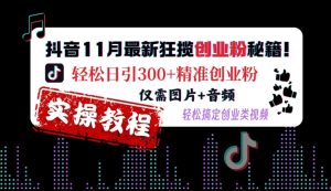 抖音11月最新狂揽创业粉秘籍，轻松日引300+精准创业粉，仅需图片+音频，轻松搞定创业类视频-比钱轻创