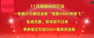 小红书11月最新图片打粉，一张图片引爆创业粉，“预算4980带我飞”，单条引流500+精准创业粉-比钱轻创