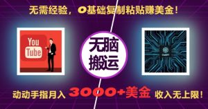 无需经验，0基础复制粘贴赚美刀，动动手指，月入3000+刀，无上限【揭秘】-比钱轻创