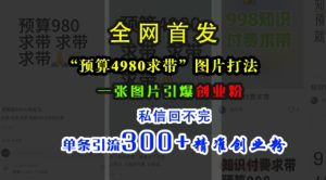 小红书“预算4980带我飞”图片打法，一张图片引爆创业粉，私信回不完，单条引流300+精准创业粉-比钱轻创