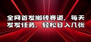 全网首发搬砖赛道,每天发发任务,轻松日入几张【揭秘】-比钱轻创