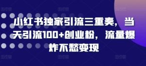 小红书独家引流三重奏,当天引流100+创业粉,流量爆炸不愁变现【揭秘】-比钱轻创