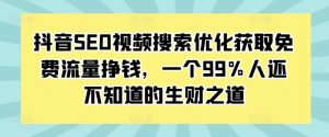 抖音SEO视频搜索优化获取免费流量挣钱,一个99%人还不知道的生财之道-比钱轻创