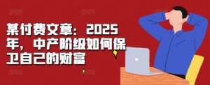某付费文章：2025年，中产阶级如何保卫自己的财富-比钱轻创