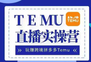 Temu直播实战营，玩赚跨境拼多多Temu，国内电商卷就出海赚美金-比钱轻创