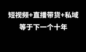 短视频+直播带货+私域等于下一个十年，大佬7年实战经验总结-比钱轻创