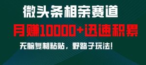 微头条相亲赛道，迅速积累，无脑复制粘贴，野路子玩法，月入1w-比钱轻创