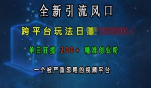 全新引流风口，跨平台玩法日入上k，单日狂揽200+精准创业粉，一个被严重忽略的视频平台-比钱轻创