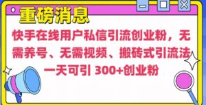 快手最新引流创业粉方法，无需养号、无需视频、搬砖式引流法【揭秘】-比钱轻创