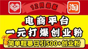 12月最新：电商平台1元打爆创业粉，简单粗暴日引500+精准创业粉，轻松月入过W【揭秘】-比钱轻创
