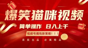 爆笑猫咪视频：简单操作，日入过K，视频号搞钱新策略【揭秘】-比钱轻创