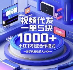 视频代发，一单5块，小红书引流合作模式，一部手机轻松日入多张【揭秘】-比钱轻创