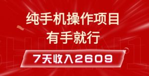 纯手机操作的小项目，有手就能做，7天收入2609+实操教程【揭秘】-比钱轻创