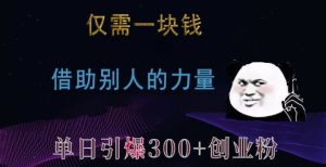 仅需一块钱，借助别人的力量，单日引爆300+创业粉、兼职粉【揭秘】-比钱轻创