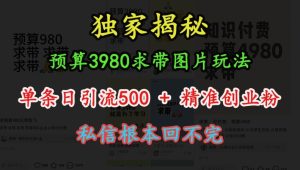 预算3980求带 图片玩法,单条日引流500+精准创业粉,私信根本回不完-比钱轻创