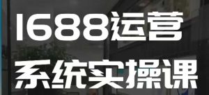 1688高阶运营系统实操课,快速掌握1688店铺运营的核心玩法-比钱轻创