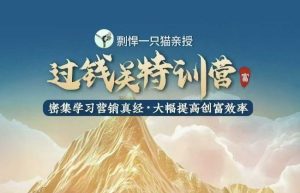 剽悍一只猫-过钱关特训营，学习营销真经 大幅度提高创富效率-比钱轻创