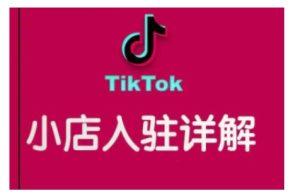 TikTok跨境小店运营全攻略，帮助你独立运营TK跨境小店的能力，实现销量增长-比钱轻创