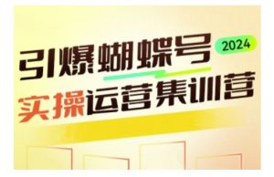 引爆蝴蝶号实操运营,助力你深度掌握蝴蝶号运营,实现高效实操,开启流量变现之路-比钱轻创