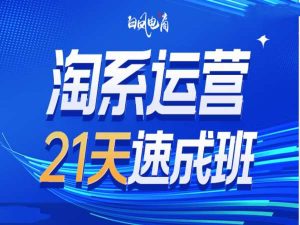 淘系运营21天速成班35期，年前最后一波和2025方向-比钱轻创
