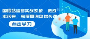 国际站运营实战系统：低成本获客，高质量询盘增长课-比钱轻创