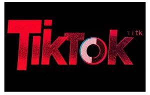 TikTok ads投流秘籍,涵盖tiktok整体投放思路,教你搭建测试计划-比钱轻创