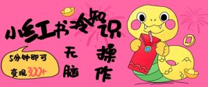 小红书冷知识账号，无脑复制粘贴，5分钟即可变现3张-比钱轻创