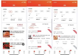 2025最新京东蓝海项目，0 门槛日入 1k+，小白宝妈轻松上手【揭秘】-比钱轻创