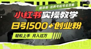 2月小红书最新日引500+创业粉实操教学【超详细】小白轻松上手，月入1W+，附小红书养号起号SOP-比钱轻创