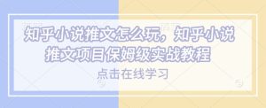知乎小说推文怎么玩，知乎小说推文项目保姆级实战教程-比钱轻创