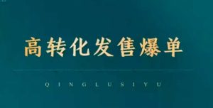 高转化发售爆单,引爆私域成交,打破运营全链-比钱轻创